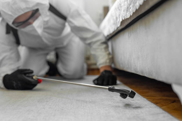 Professional Bed Bug Control technician working in Emory, VA